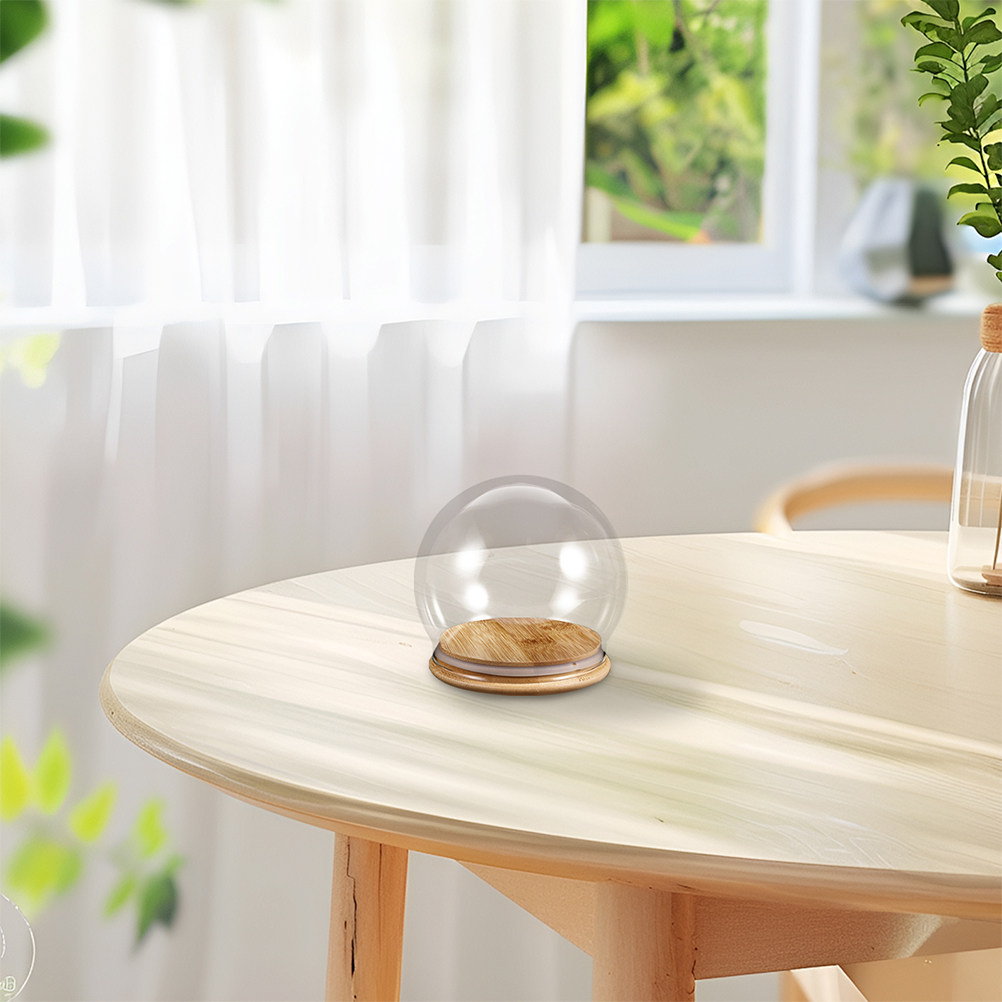 2Pcs Clear Glass Dome Display  - Plastic Dome Clear recension och pris