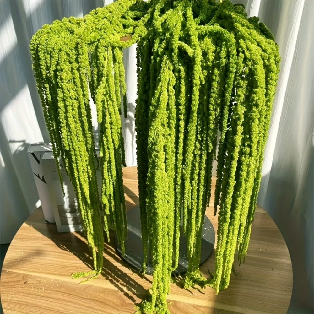 4 Piece Set Artificial Amarant - Sphagnum Moss Dry recension och pris