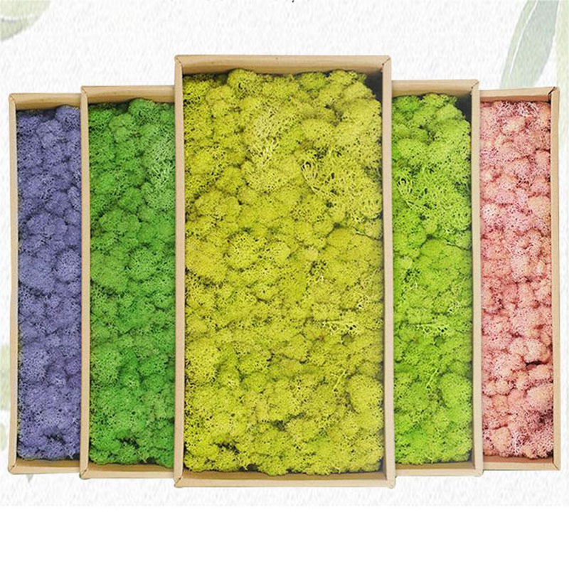 20g Artificial Green Plants Et - Sphagnum Moss Dry recension och pris