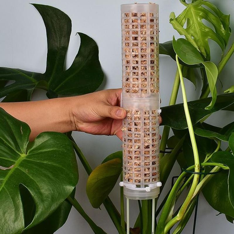Sphagnum Moss Pole for Orchid  - Sphagnum Moss Dry recension och pris